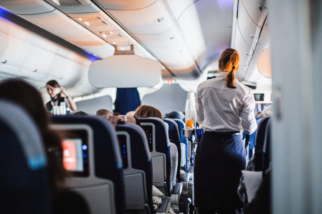 Flight Attendant