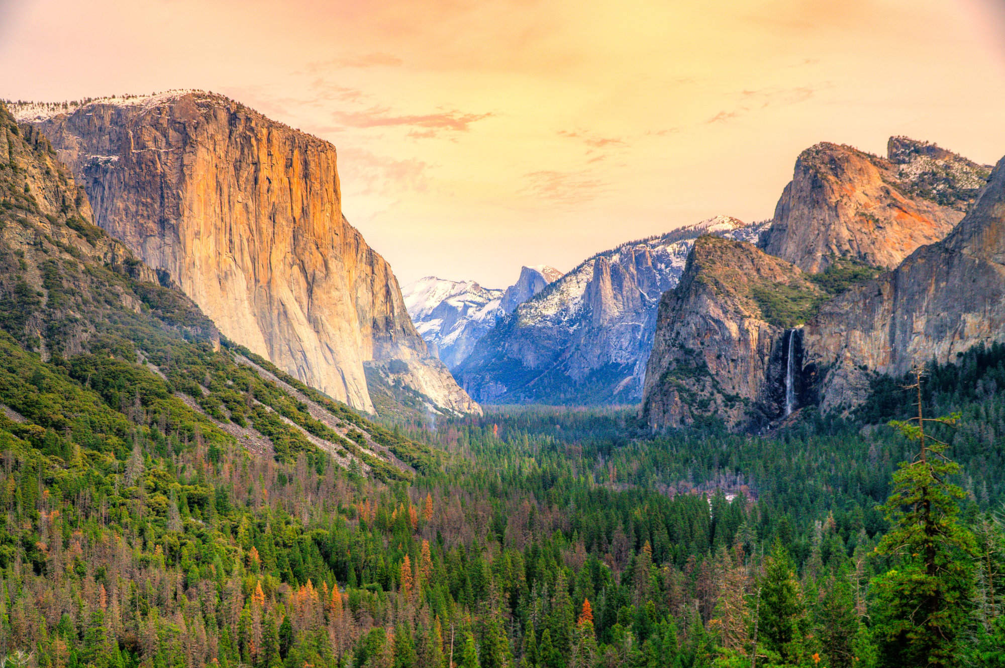 Healing Through Nature at Yosemite’s Base